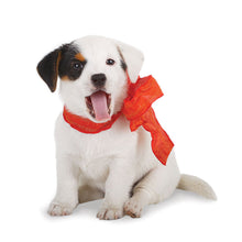 Load image into Gallery viewer, Puppies 2026 (Item #26606) - 12x24 Refill Sheet Calendar - BONUS POCKET PLANNER & BOOKMARK WHILE QUANTITIES LAST