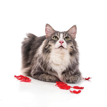 Load image into Gallery viewer, Cats 2026 (Item #9642) - 12x24 Refill Sheet Calendar - BONUS POCKET PLANNER & BOOKMARK WHILE QUANTITIES LAST