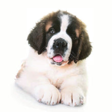 Load image into Gallery viewer, Puppies 2026 (Item #26606) - 12x24 Refill Sheet Calendar - BONUS POCKET PLANNER & BOOKMARK WHILE QUANTITIES LAST