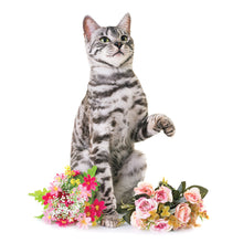 Load image into Gallery viewer, Cats 2026 (Item #9642) - 12x24 Refill Sheet Calendar - BONUS POCKET PLANNER & BOOKMARK WHILE QUANTITIES LAST