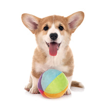 Load image into Gallery viewer, Puppies 2026 (Item #26606) - 12x24 Refill Sheet Calendar - BONUS POCKET PLANNER & BOOKMARK WHILE QUANTITIES LAST