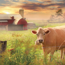 Load image into Gallery viewer, Beckoning Barns 2026 (Item #33012) - 12x24 Refill Sheet Calendar - BONUS POCKET PLANNER & BOOKMARK WHILE QUANTITIES LAST