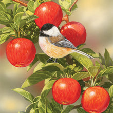 Load image into Gallery viewer, Feathered Friends 2026 (Item #9372) - 12x24 Refill Sheet Calendar - BONUS POCKET PLANNER & BOOKMARK WHILE QUANTITIES LAST