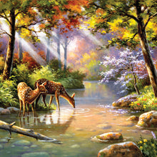 Load image into Gallery viewer, Vibrant Views (Item #7982) - 2026 - 12x24 Refill Sheet Calendar - BONUS POCKET PLANNER & BOOKMARK WHILE QUANTITIES LAST