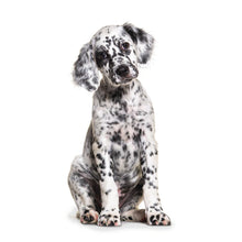 Load image into Gallery viewer, Puppies 2026 (Item #26606) - 12x24 Refill Sheet Calendar - BONUS POCKET PLANNER & BOOKMARK WHILE QUANTITIES LAST