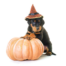 Load image into Gallery viewer, Puppies 2026 (Item #26606) - 12x24 Refill Sheet Calendar - BONUS POCKET PLANNER & BOOKMARK WHILE QUANTITIES LAST