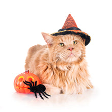 Load image into Gallery viewer, Cats 2026 (Item #9642) - 12x24 Refill Sheet Calendar - BONUS POCKET PLANNER & BOOKMARK WHILE QUANTITIES LAST