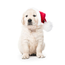 Load image into Gallery viewer, Puppies 2027 (Item #26606) - ** SHIPPING IN SEPTEMBER **12x24 Refill Sheet Calendar - BONUS POCKET PLANNER & BOOKMARK WHILE QUANTITIES LAST