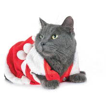 Load image into Gallery viewer, Cats 2026 (Item #9642) - 12x24 Refill Sheet Calendar - BONUS POCKET PLANNER & BOOKMARK WHILE QUANTITIES LAST