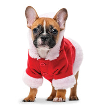 Load image into Gallery viewer, Puppies 2026 (Item #26606) - 12x24 Refill Sheet Calendar - BONUS POCKET PLANNER & BOOKMARK WHILE QUANTITIES LAST