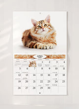 Load image into Gallery viewer, Charming Cats Folding Calendar 2026 (Item # 289822)
