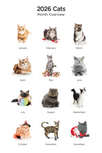 Load image into Gallery viewer, Cats 2026 (Item #9642) - 12x24 Refill Sheet Calendar - BONUS POCKET PLANNER & BOOKMARK WHILE QUANTITIES LAST