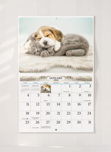 Load image into Gallery viewer, Kittens & Puppies Folding Calendar 2026 (Item # 289600)