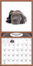 Load image into Gallery viewer, Puppies 2027 (Item #26606) - ** SHIPPING IN SEPTEMBER **12x24 Refill Sheet Calendar - BONUS POCKET PLANNER & BOOKMARK WHILE QUANTITIES LAST