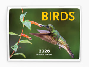 Birds Folding Calendar 2026 (Item # 289984)