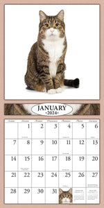 Cats 2024 (Item #9642) - 12x24 Refill Sheet Calendar - BONUS POCKET PLANNER & BOOKMARK WHILE QUANTITIES LAST