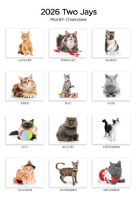 Charming Cats Folding Calendar 2026 (Item # 289822)