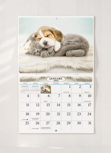 Kittens & Puppies Folding Calendar 2026 (Item # 289600)