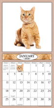Load image into Gallery viewer, Cats 2026 (Item #9642) - 12x24 Refill Sheet Calendar - BONUS POCKET PLANNER &amp; BOOKMARK WHILE QUANTITIES LAST

