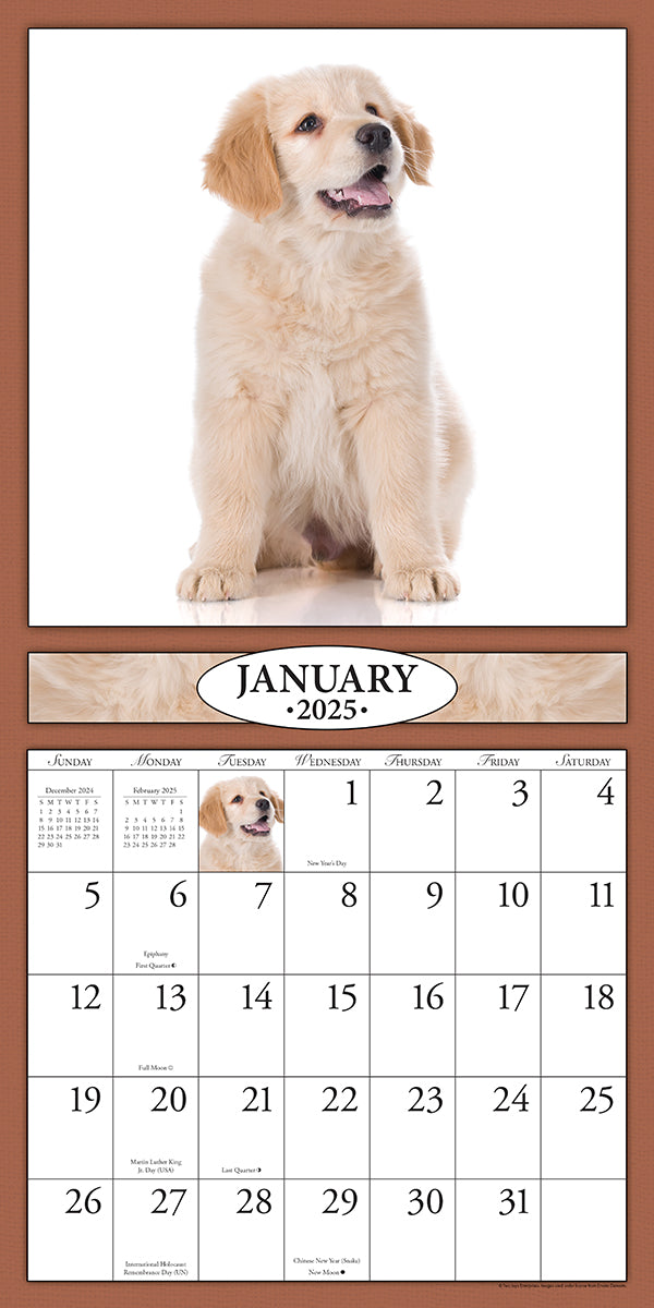 Puppies 2025 (Item #26606) - 12x24 Refill Sheet Calendar - BONUS POCKET PLANNER & BOOKMARK WHILE QUANTITIES LAST