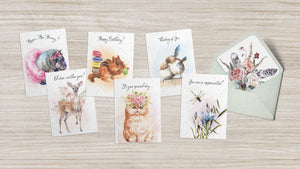 Hopper Studios Greeting Cards - Mixed 6 Pack
